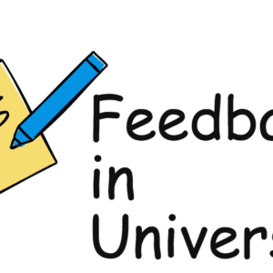 Logo feedback for university teachers and students.